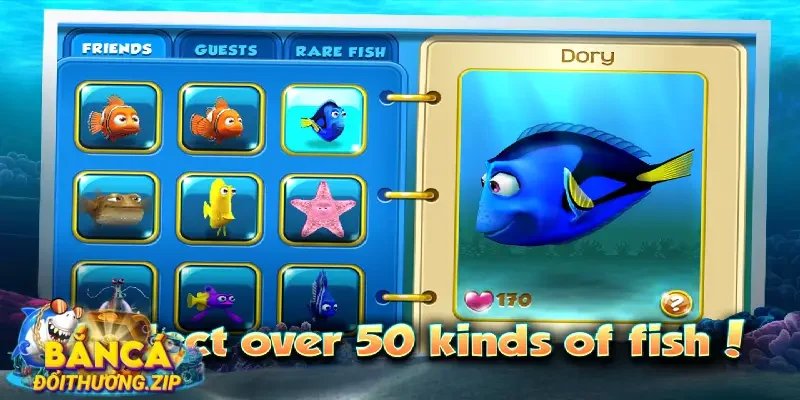 3 cách nhận mã code bắn cá city